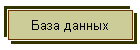 База данных